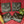 Halloween Jack-O-Lantern Coasters Set of 4 Slate Coasters